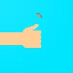 Heads Or Tails icon