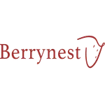 InfoSign Berrynest icon
