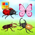 Insects Cards icon