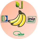 Más Banano icon