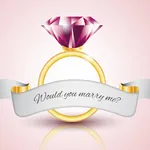 Matrimony Hub icon