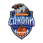 BC Sokoly icon