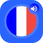 French Phrases Offline - Frenc icon