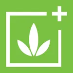 Herbalife icon