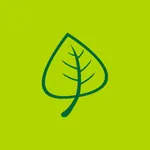 Real Fruit Bubble Tea icon