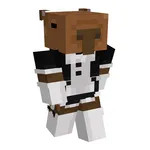 Maid Skins For Minecraft icon