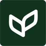 Lugus icon