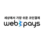 Web3pays icon
