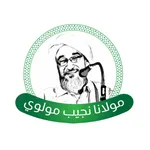 Moulana icon
