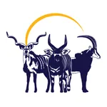 ExoticAuction App icon