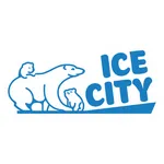 Ice city icon