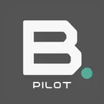 Banzeeni Pilot icon