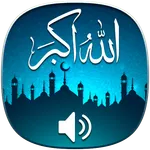 Famous Islamic Songs & Nasheed icon