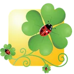 Che Fortuna Premium icon