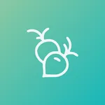 Turnips Calculator Animal Cros icon