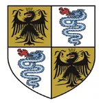 Insubria Taxi icon