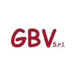 GBV icon