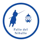 Palio Faenza TV icon