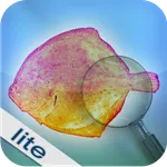 Fishbook Lite icon