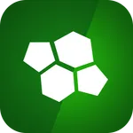 fmsReVo fantaBlink icon