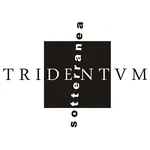 S.A.S.S. - Audioguida icon