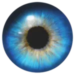 Isidora icon