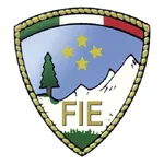 FIE Maps icon