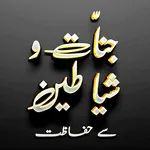 Jinnat O Shayateen se Hifazat icon