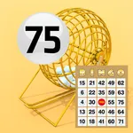 Bingo Game 75 icon