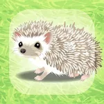 Hedgehog Pet icon