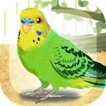 Parakeet Pet icon