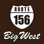 大西石油セルフ砺波１５６SS icon