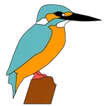 野鳥検索図鑑 icon