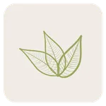 カットスタジオ 花びし icon