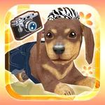 My Dog My Room Free icon