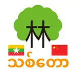 Learn Chinese For Myanmar Easy icon