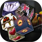 Love Bird cube live wallpaper icon