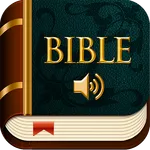 KJV Audio Bible offline icon