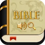 KJV Bible LARGE print offline icon