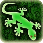 Gecko photo image editor icon