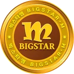 빅스타엠 코인 전자지갑 icon
