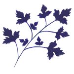 ROJAANA icon