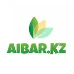 Aibar KZ icon