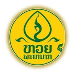 ຕະຫຼາດພະຍານາກ-Naga Market icon