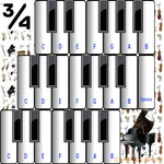 (light) Music Instruments icon