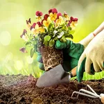 Learn Gardening icon