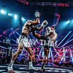 Learn Muaythai icon