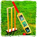 Lessons to play cricket icon