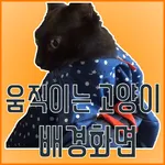 움직이는 고양이 배경화면(CatLiveWallPaper icon