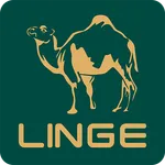 Linge-auto parts icon